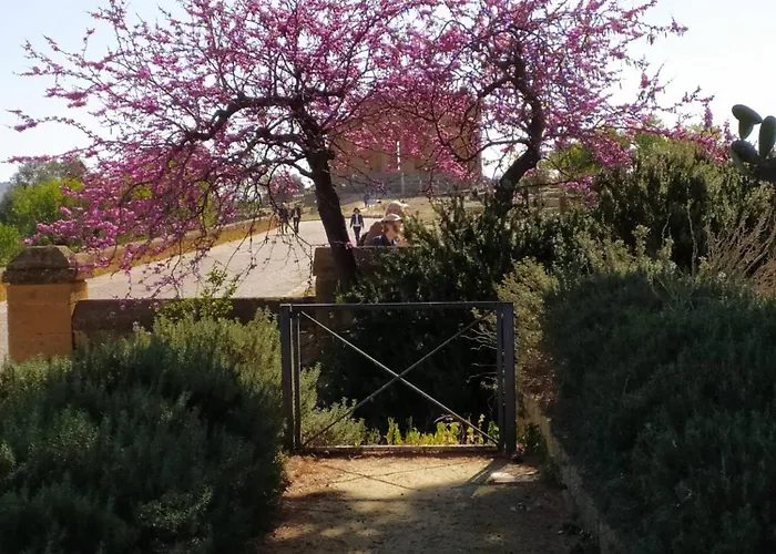 Atena Centro Διαμέρισμα Αγκριτζέντο