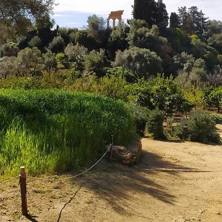 Apartment Atena Centro