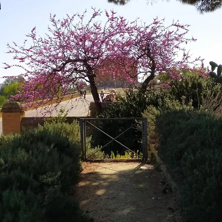 Atena Centro Apartment Agrigento